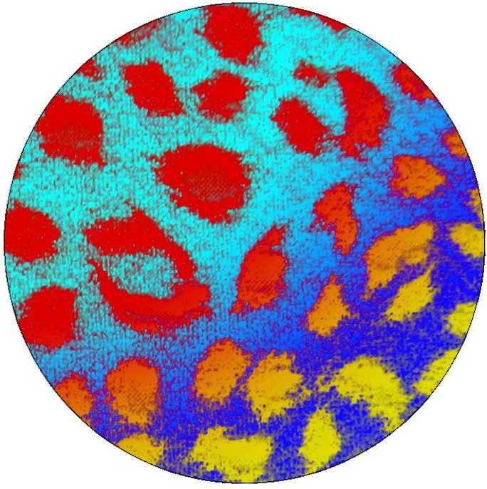 Leopard Skin Pinback Buttons and Stickers