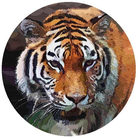 Tiger Pinback Buttons and Stickers