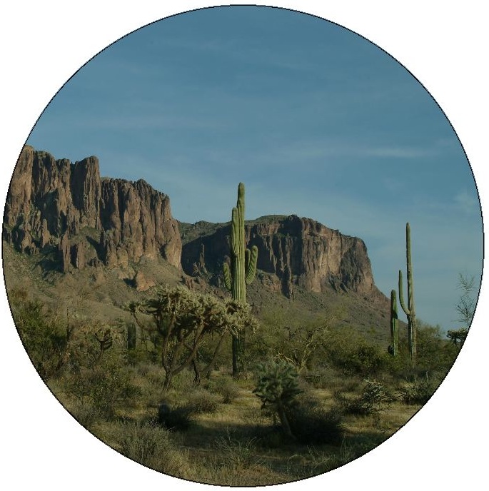 Superstition Mountains Cactus Pinback Buttons and Stickers