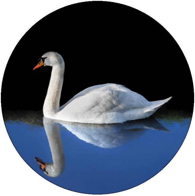 Swan Pinback Button and Stickers