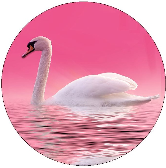 Swan Pinback Button and Stickers