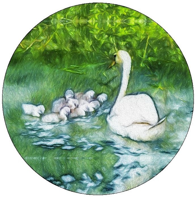 Swan Pinback Button and Stickers