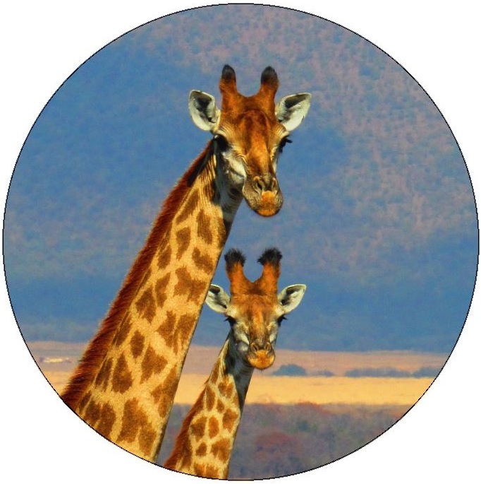 Giraffe Pinback Buttons and Stickers