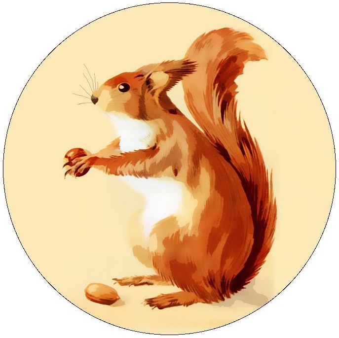 Squirrel Pinback Buttons and Stickers