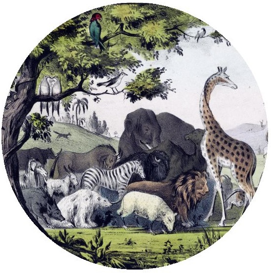 Wildlife Pinback Buttons and Stickers