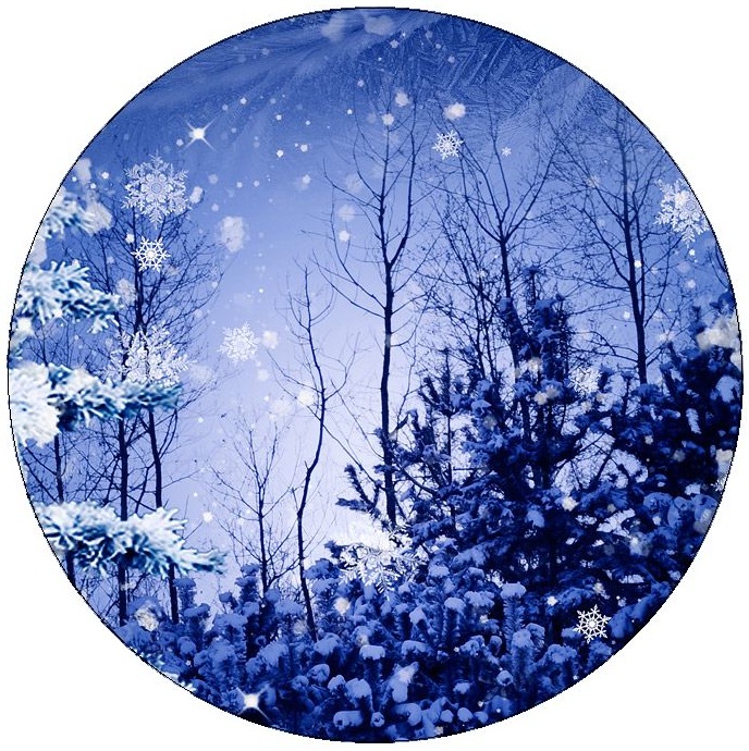 Winter Pinback Button and Stickers
